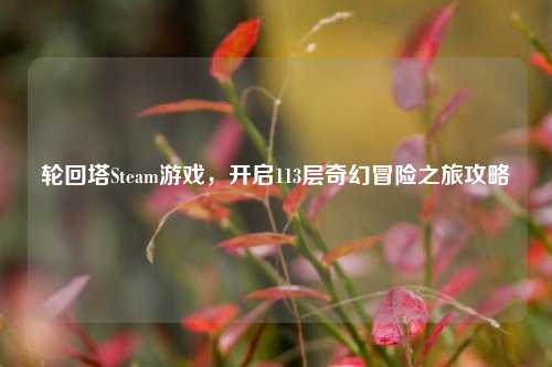轮回塔Steam游戏,开启113层奇幻冒险之旅攻略
