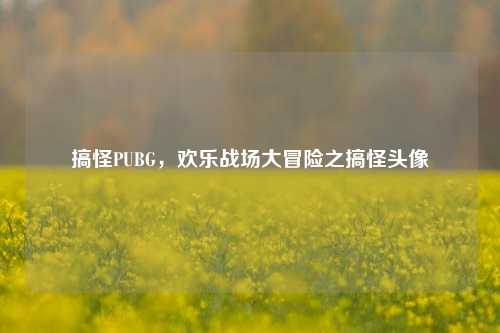 搞怪PUBG,欢乐战场大冒险之搞怪头像