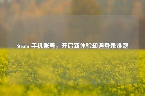 Steam 手机账号,开启新体验却遇登录难题
