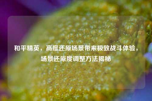 和平精英,高度还原场景带来极致战斗体验,场景还原度调整方法揭秘