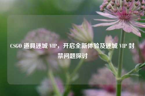 CSGO 道具迷城 VIP,开启全新体验及迷城 VIP 封禁问题探讨